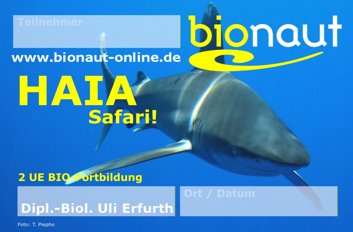 einkleber-haia-safari