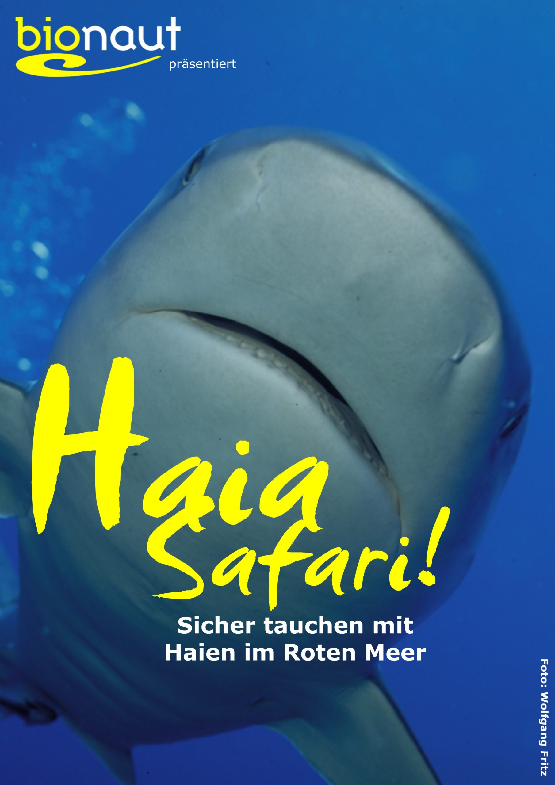 haia-safari-ohne-ecken
