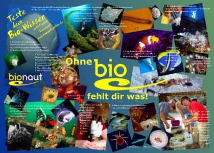 innen7