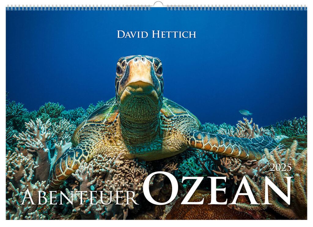 kalender ozean 2025 titel 1200 kalender ozean 2025 titel 1200